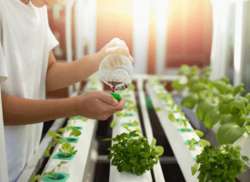 Profil&eacute;s agriculture